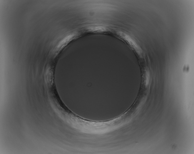 X0000090910031200707301443