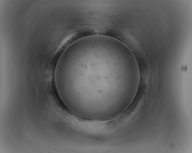 X0000090910032200707301443