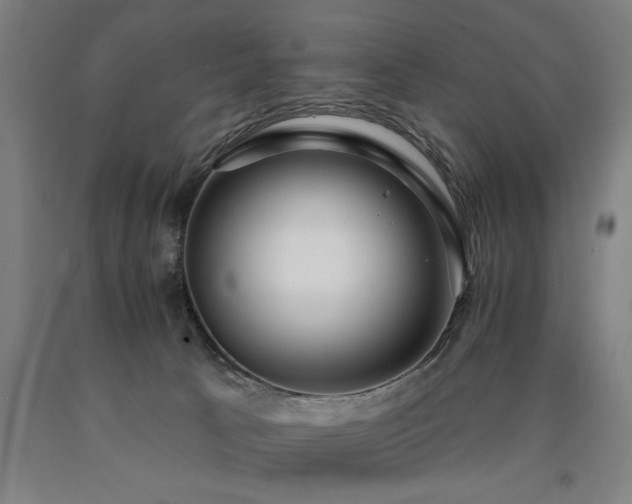 X0000090910033200707301443