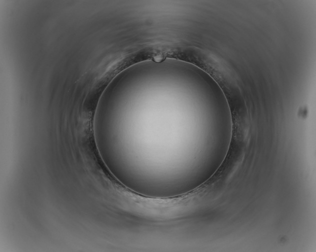 X0000090910034200707301443