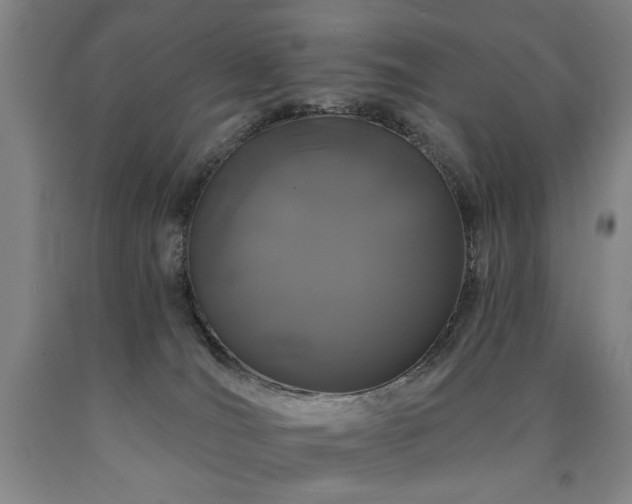 X0000090910036200707301443