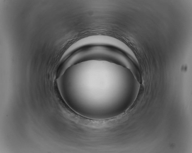 X0000090910037200707301443