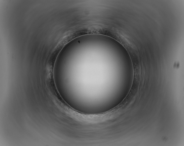 X0000090910038200707301443