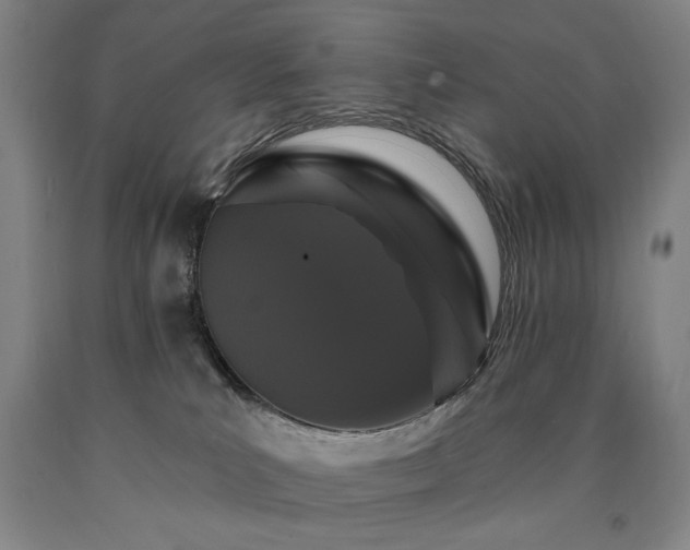 X0000090910039200707301443