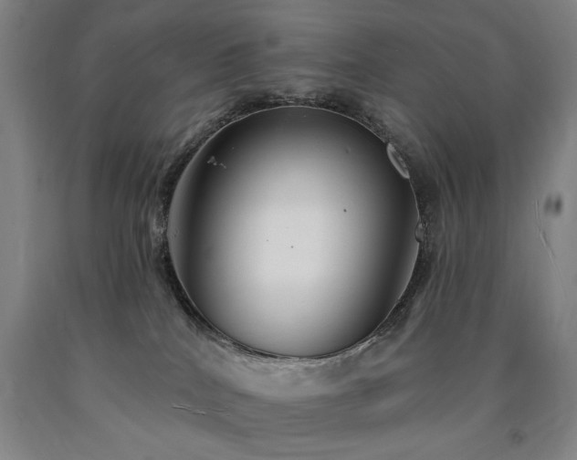 X0000090910040200707301443