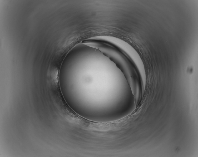 X0000090910041200707301443