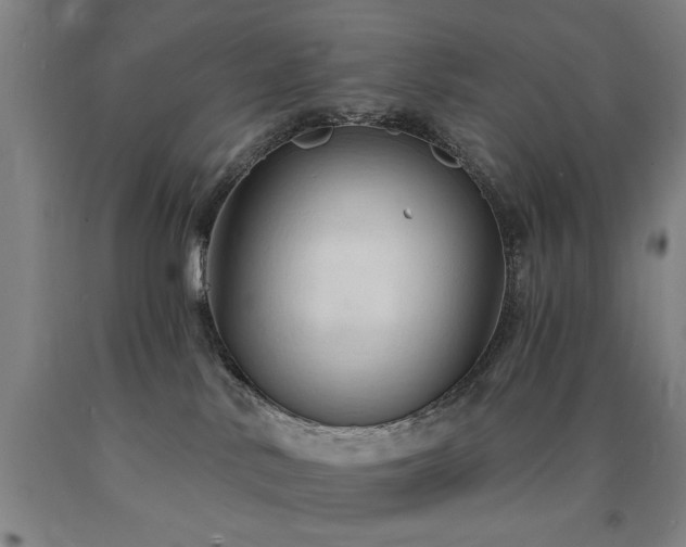 X0000090910042200707301443