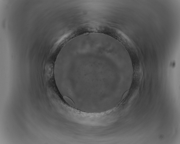 X0000090910043200707301443