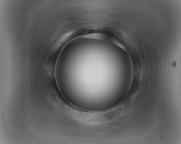 X0000090910044200707301443