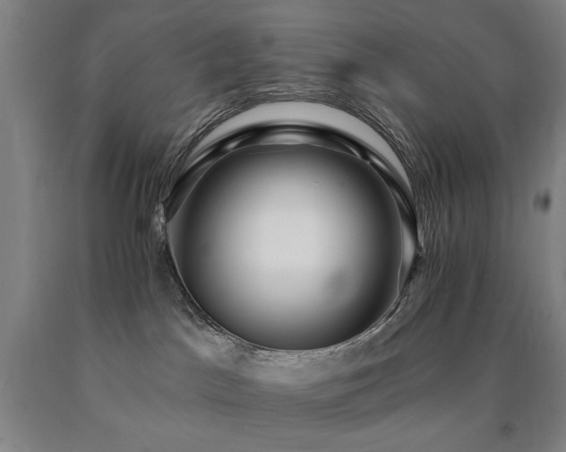 X0000090910045200707301443