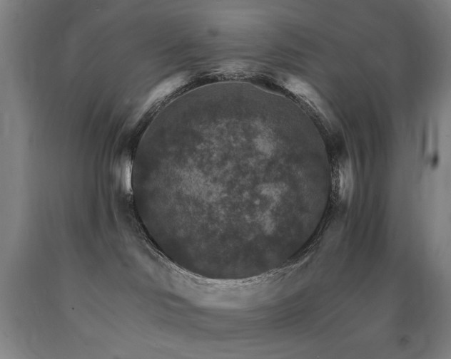 X0000090910046200707301443