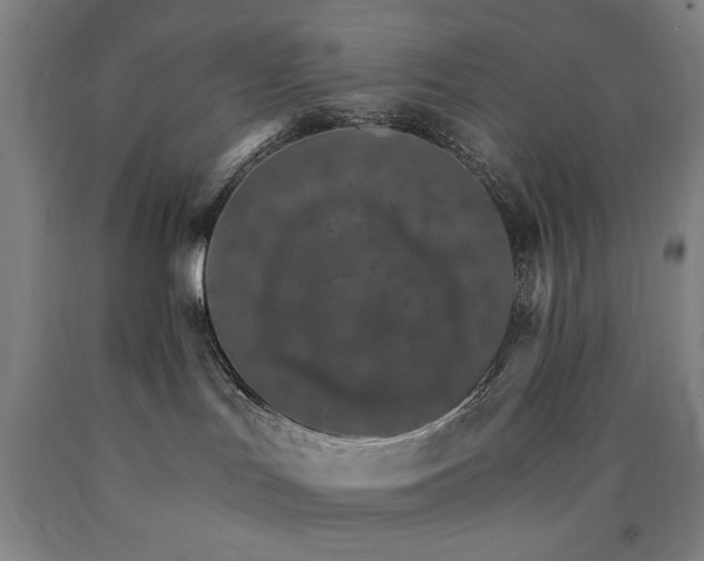 X0000090910047200707301443