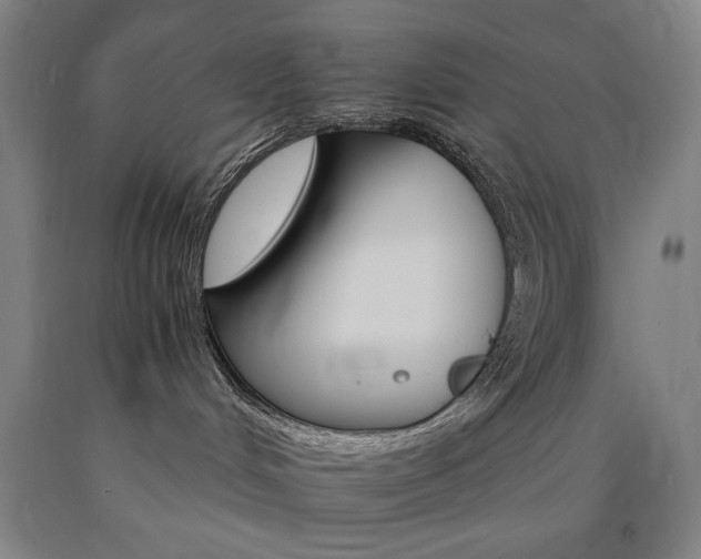 X0000090910048200707301443