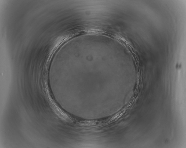 X0000090910049200707301442