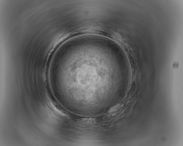 X0000090910050200707301442