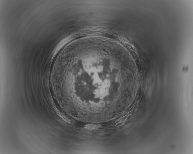 X0000090910051200707301442