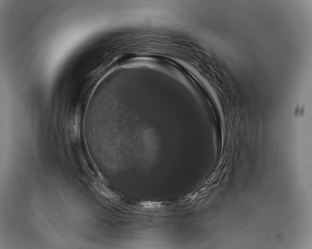 X0000090910052200707301442