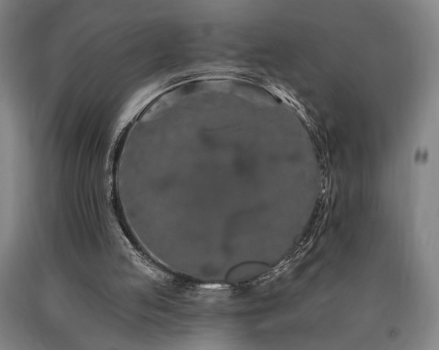 X0000090910053200707301442