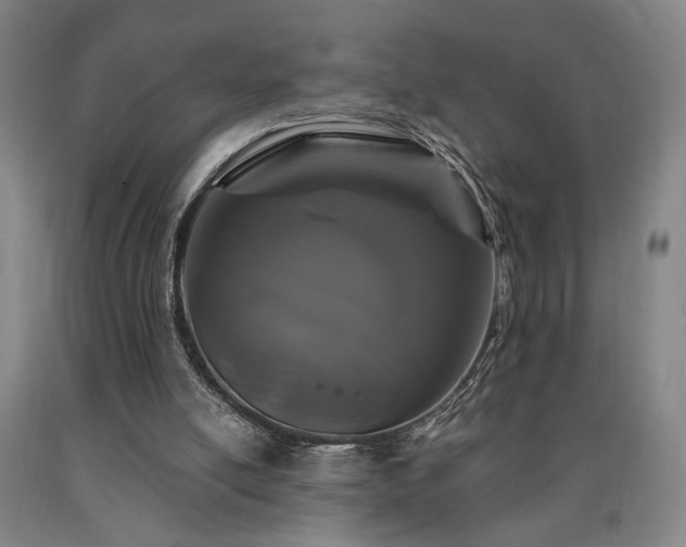 X0000090910054200707301442