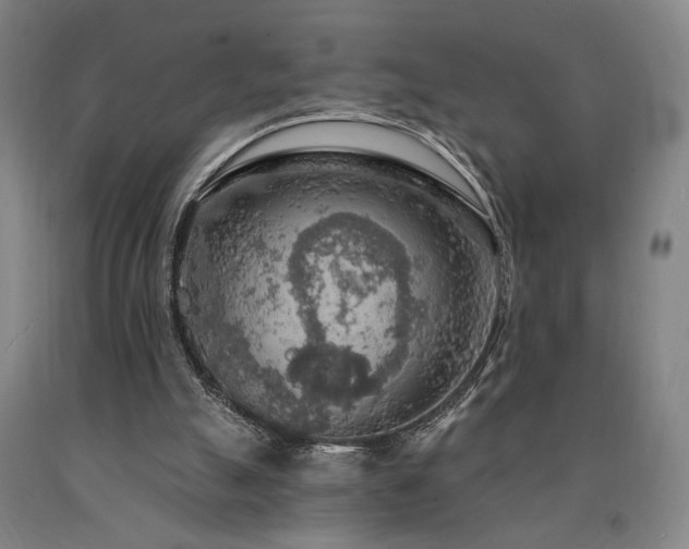 X0000090910055200707301442