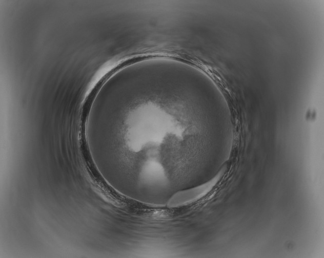 X0000090910056200707301442