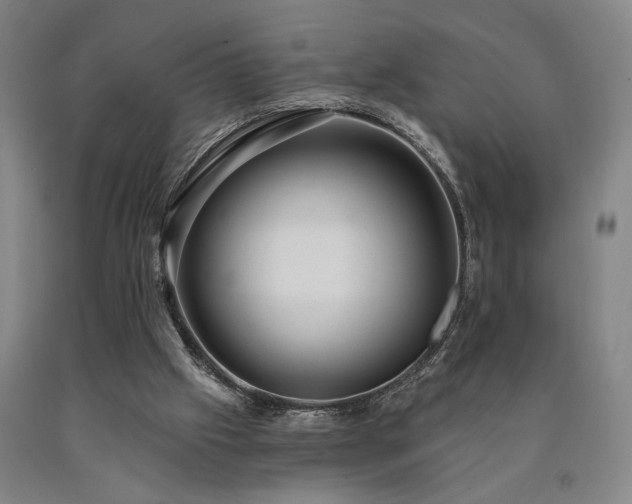 X0000090910057200707301442