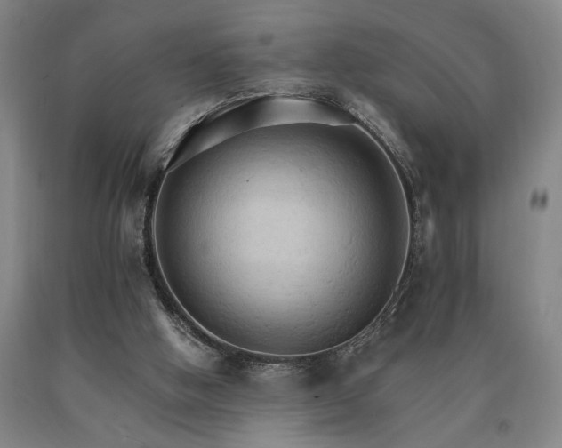 X0000090910058200707301442