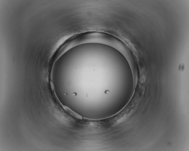 X0000090910060200707301442