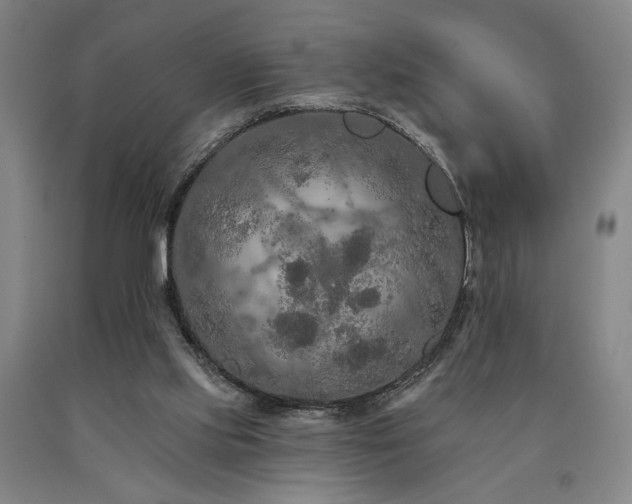 X0000090910061200707301442