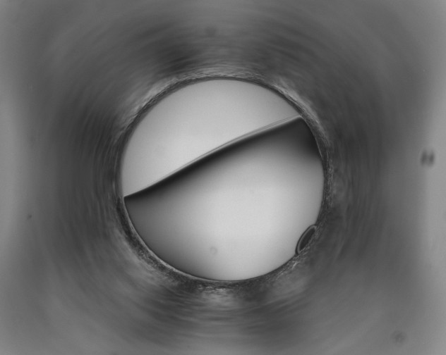 X0000090910062200707301442