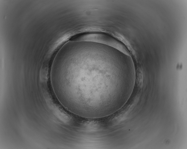 X0000090910063200707301443