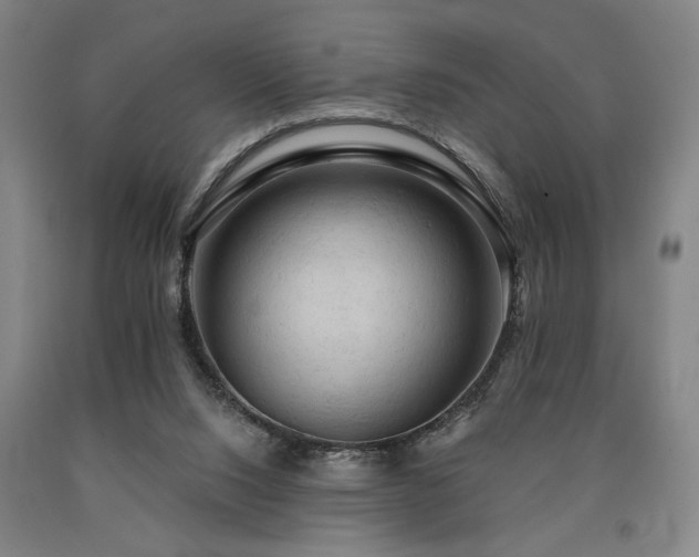 X0000090910064200707301443