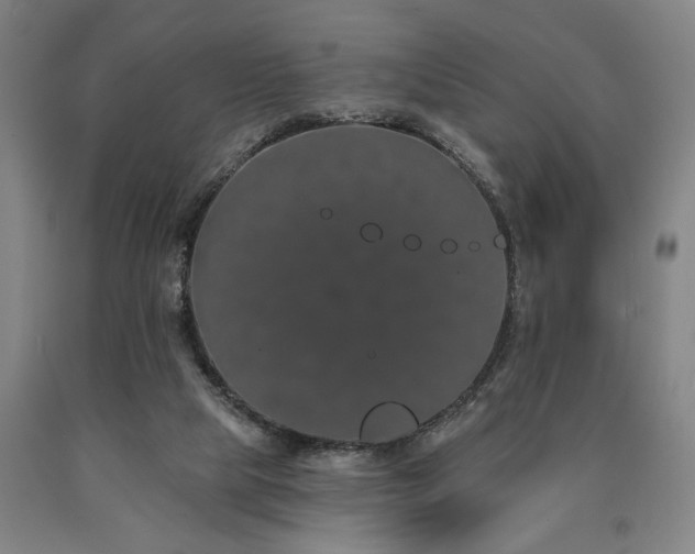 X0000090910065200707301443