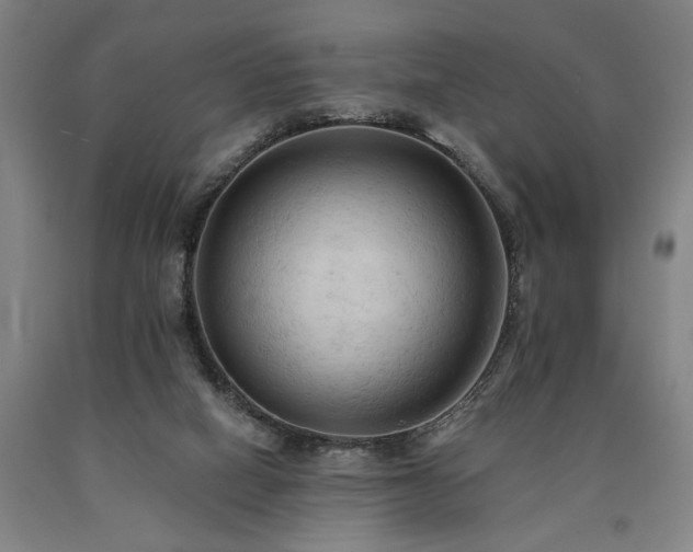 X0000090910066200707301443