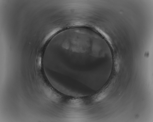 X0000090910067200707301443