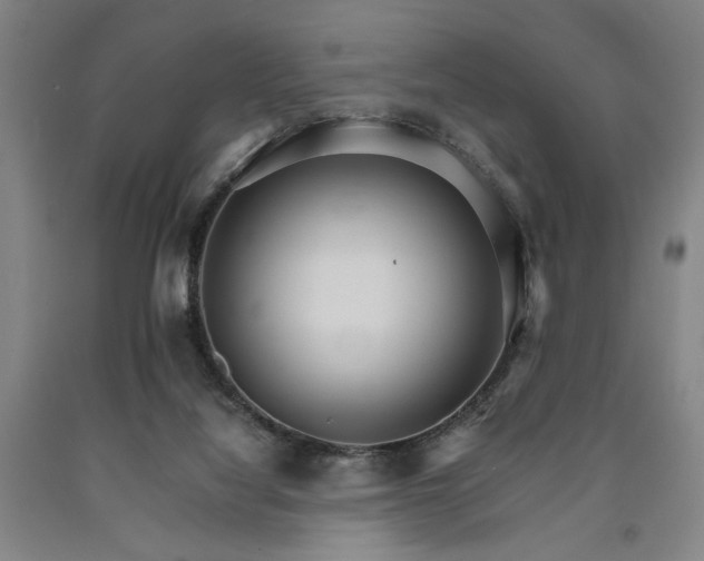 X0000090910068200707301443