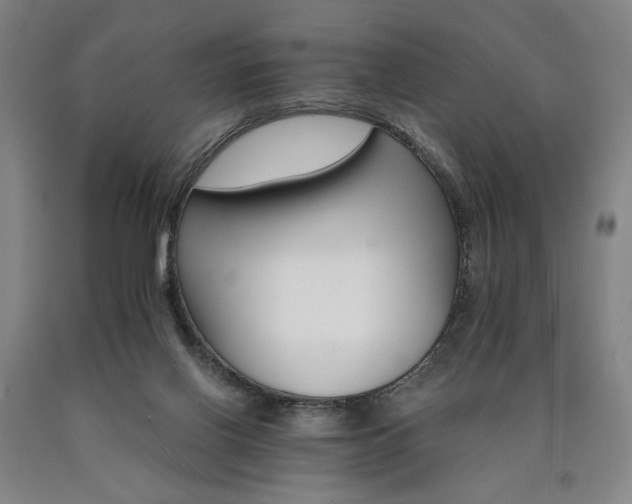 X0000090910070200707301443