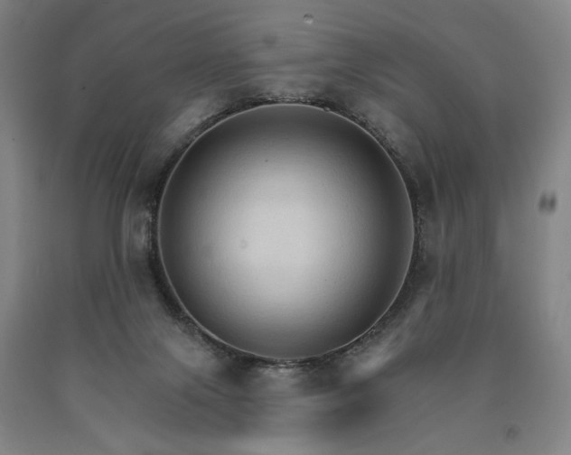 X0000090910071200707301443