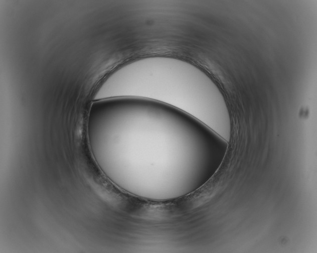 X0000090910072200707301443