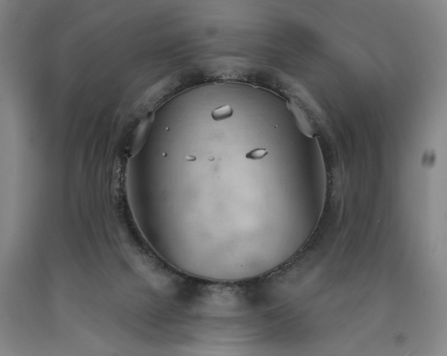 X0000090910073200707301443