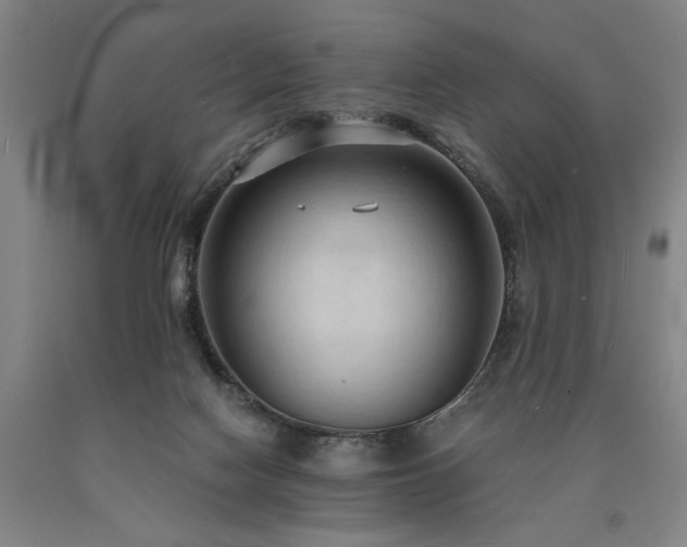 X0000090910074200707301443