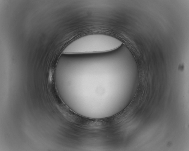 X0000090910075200707301443