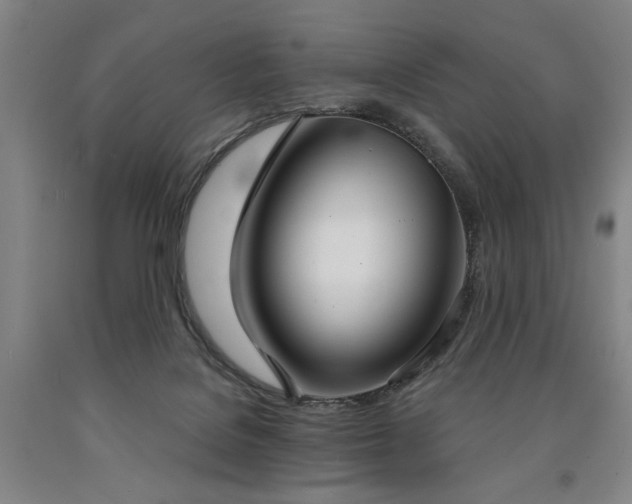 X0000090910076200707301443