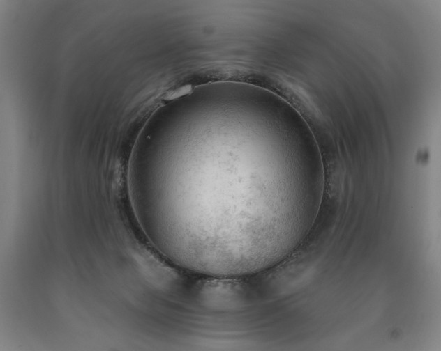 X0000090910077200707301443