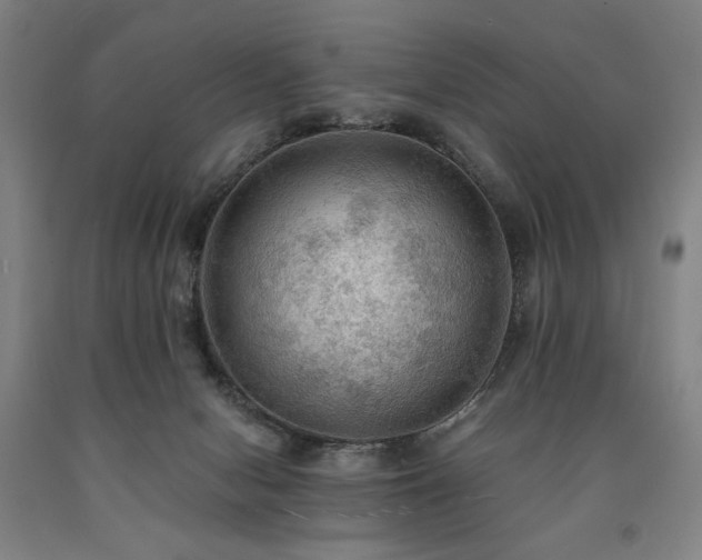 X0000090910078200707301443