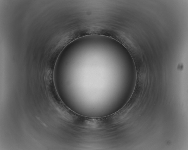 X0000090910079200707301443