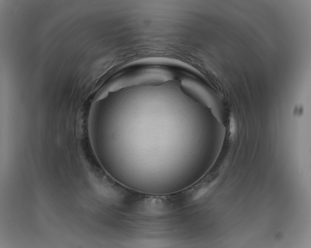 X0000090910080200707301443