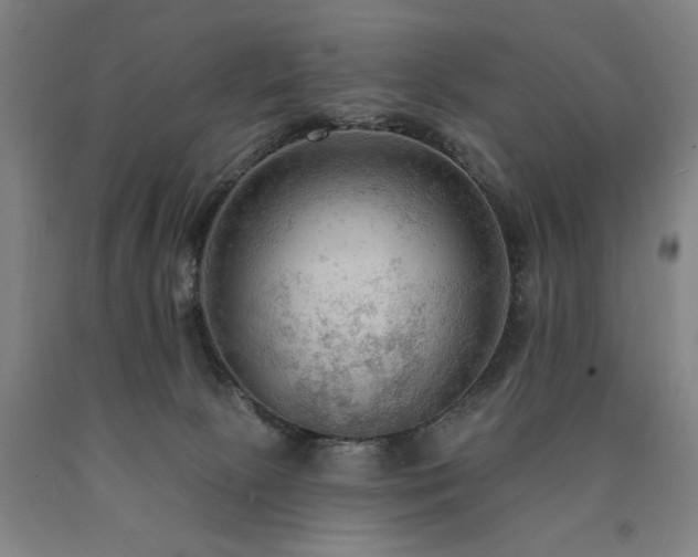 X0000090910081200707301443