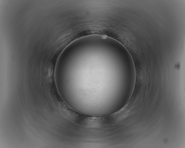 X0000090910082200707301443