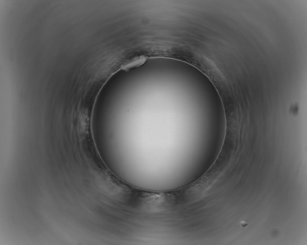 X0000090910083200707301443